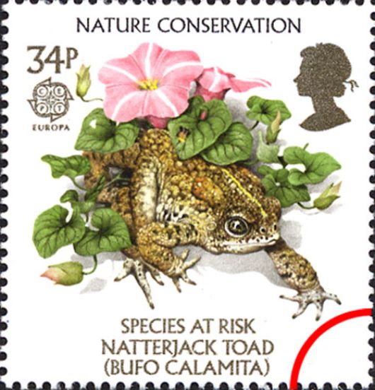 Species at Risk