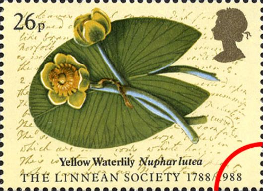 Linnean Society