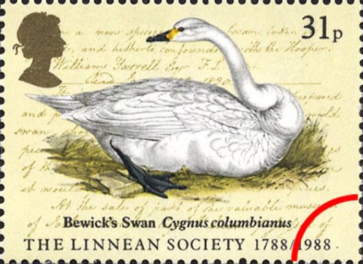 Linnean Society