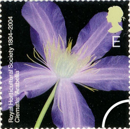 Royal Horticultural Society