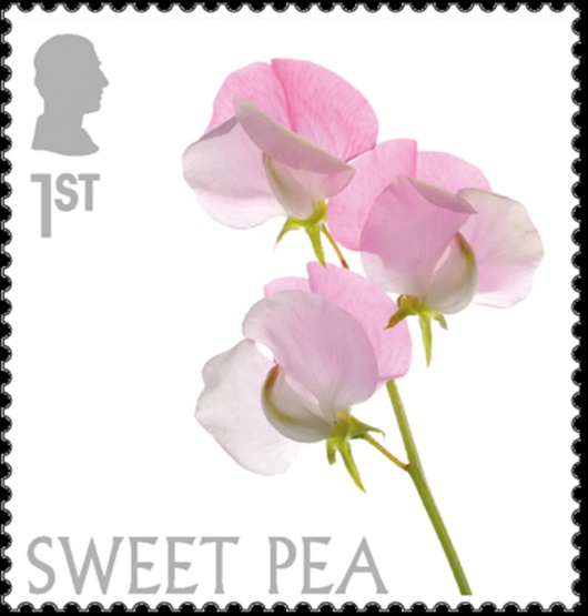 Commemorative Stamps (Flowers)